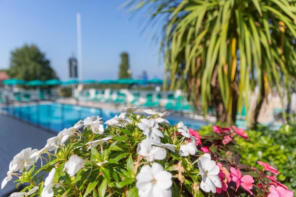 Residenza Orchidee Lazise